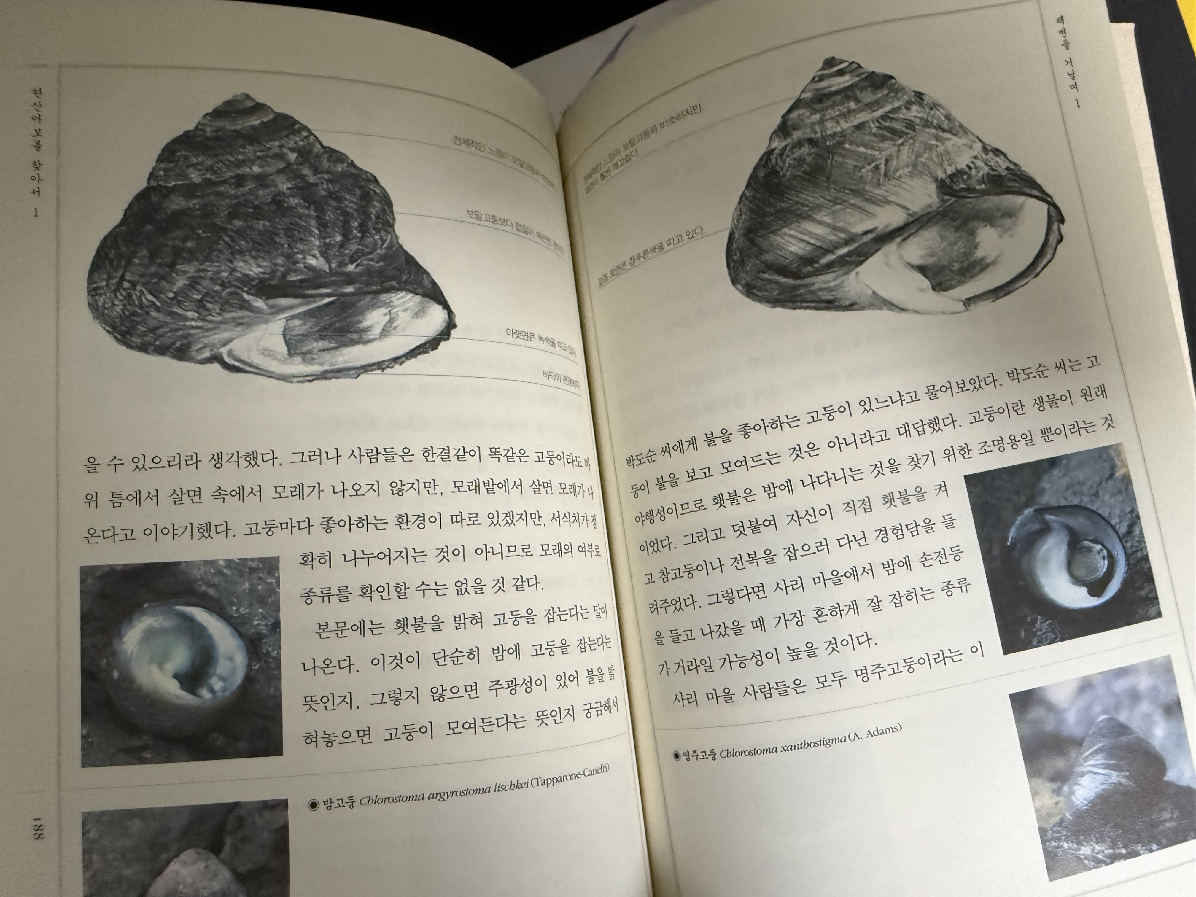 드라마 옥션:) 현산어보를 찾아서 1