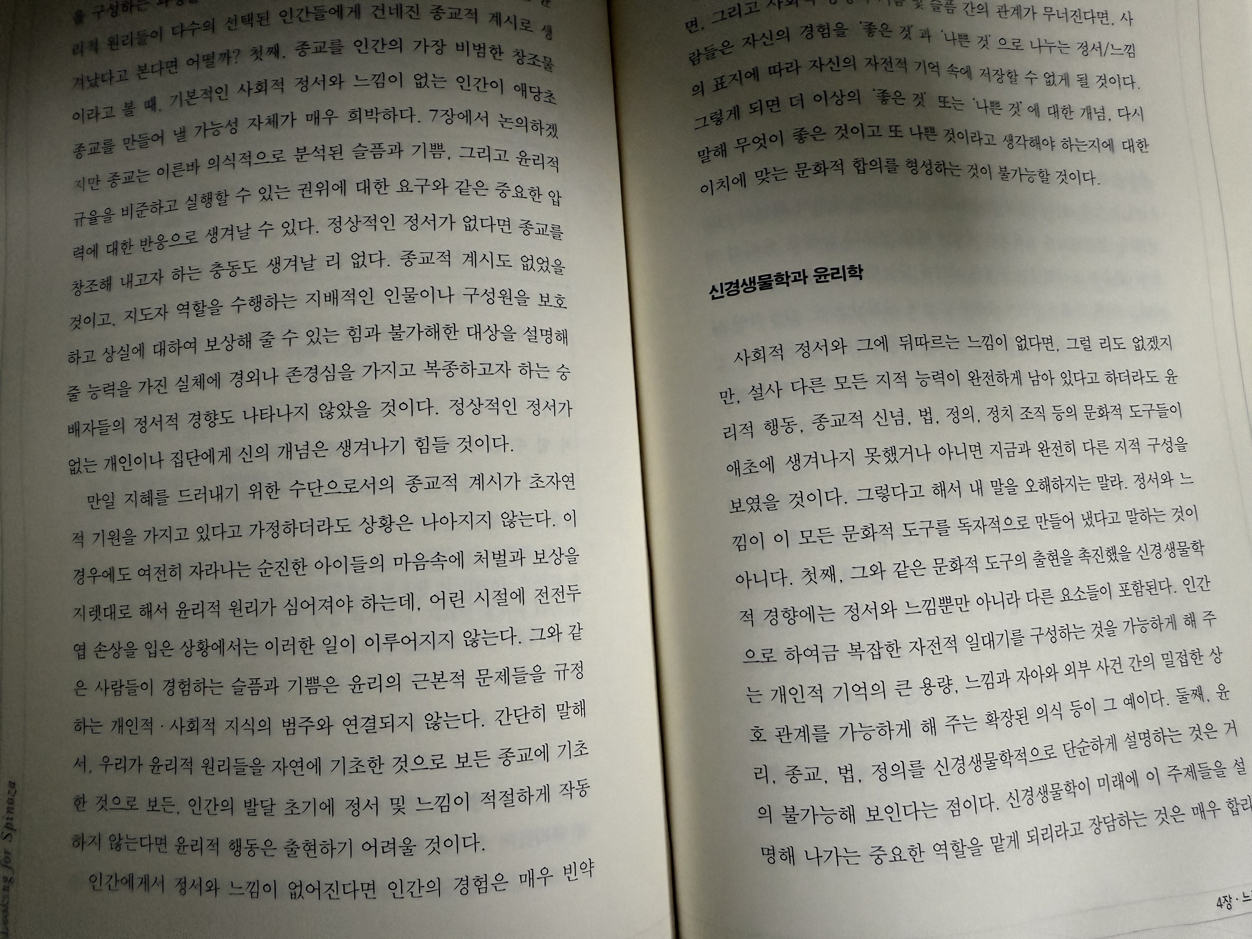 천원 옥션 체험:) 스피노자의 뇌