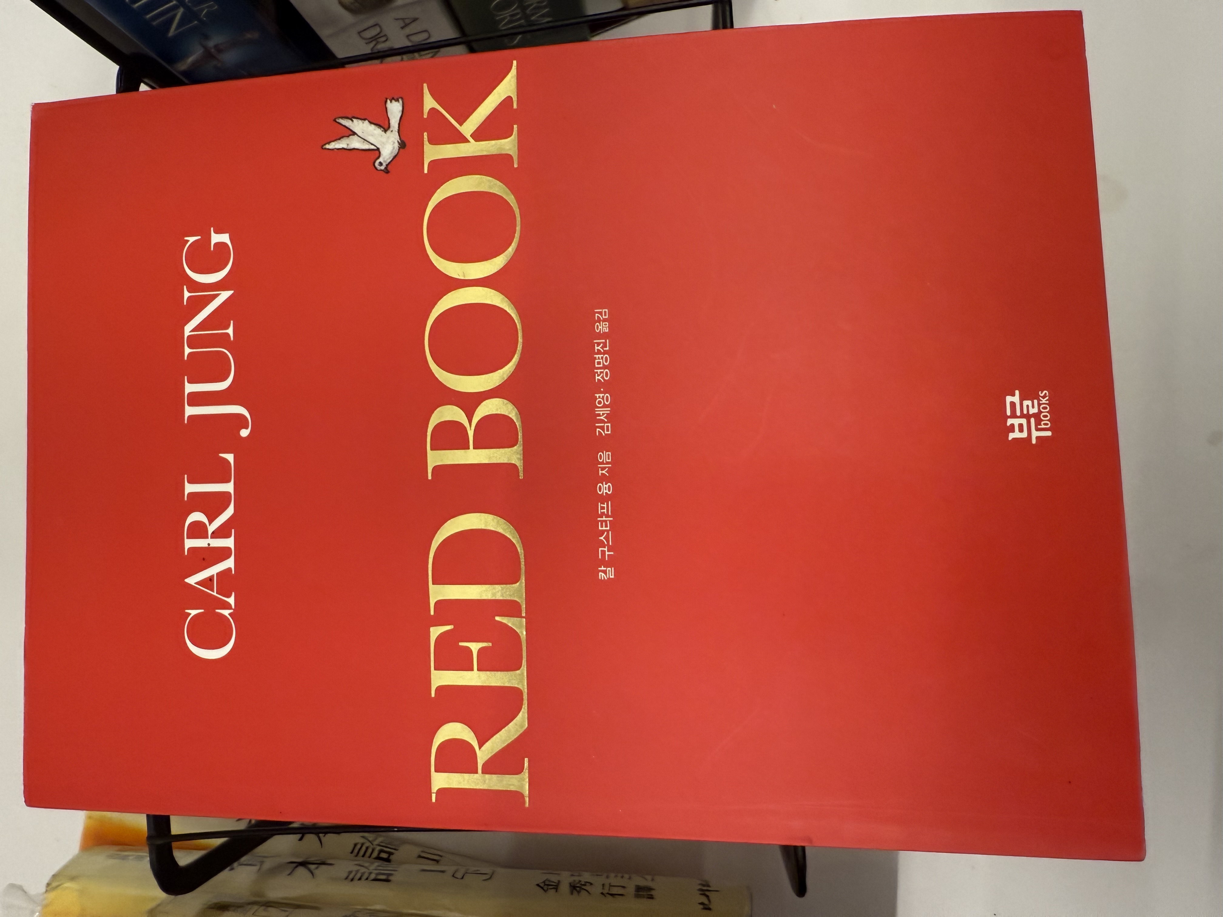 던전 옥션:) 레드북 - 칼 융