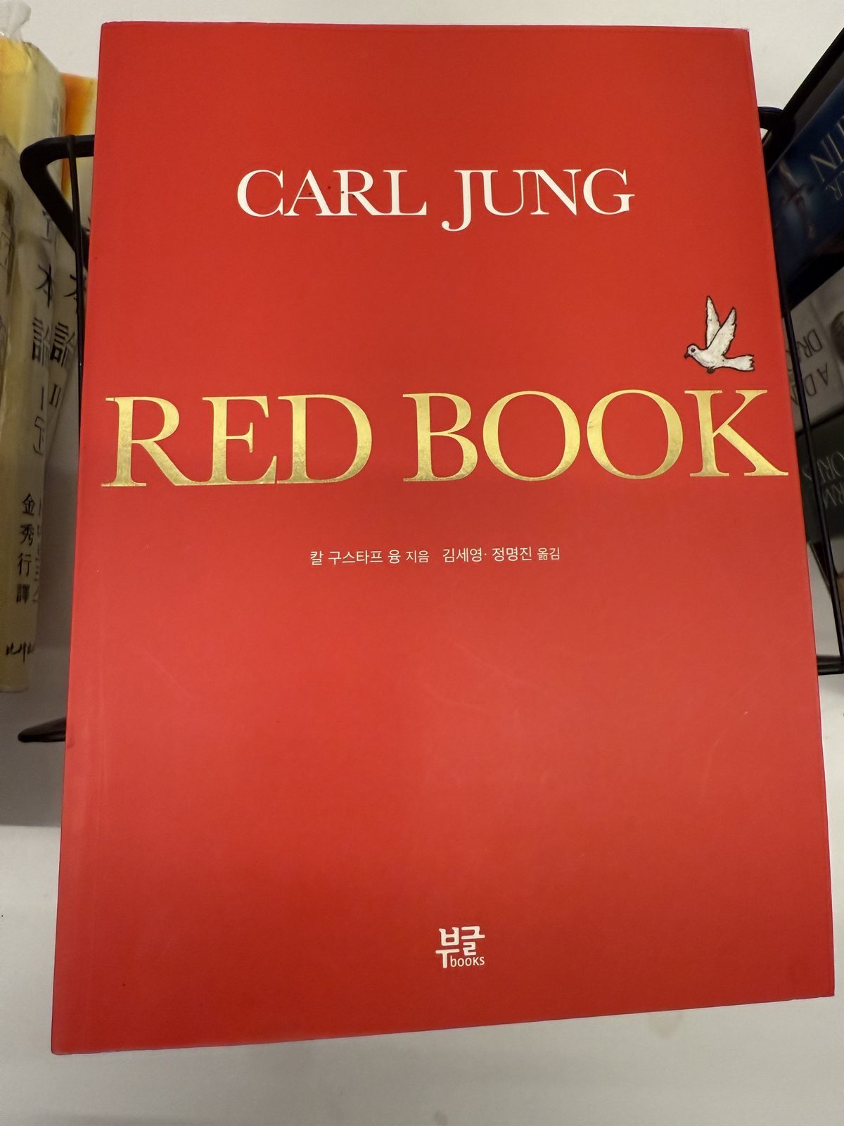 던전 옥션:) 레드북 - 칼 융